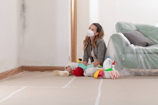 Reliable Mold Remediation contractor in Youngsville, NC by WQB Mold Removal
